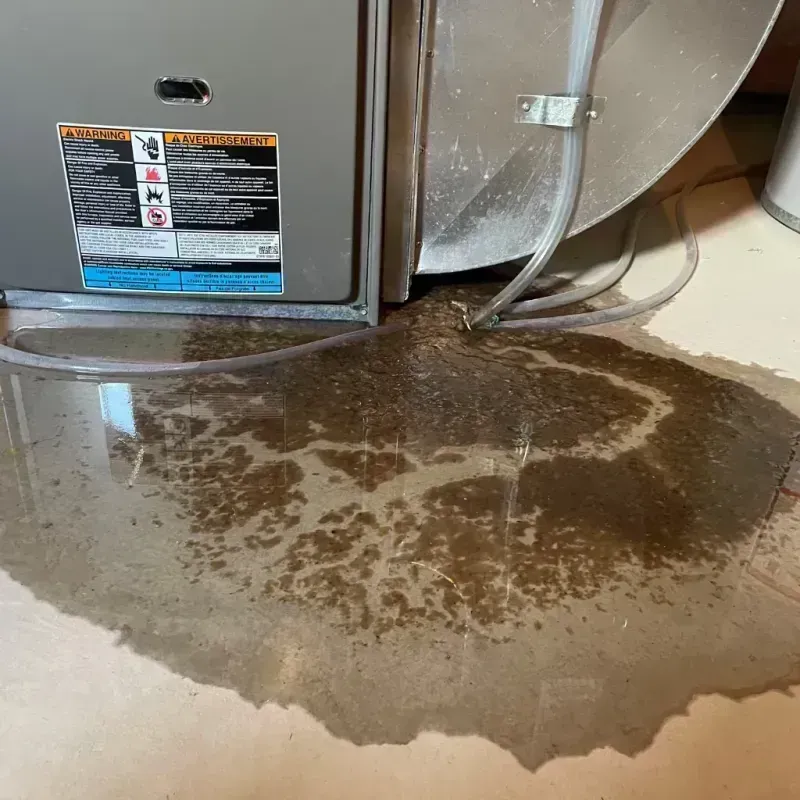 Appliance Leak Cleanup in Rising Sun-Lebanon, DE